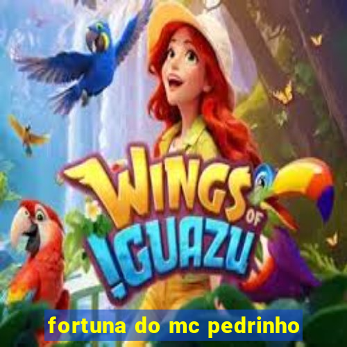 fortuna do mc pedrinho