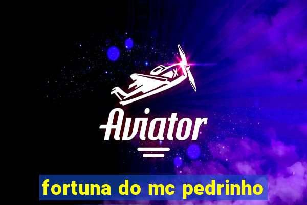 fortuna do mc pedrinho