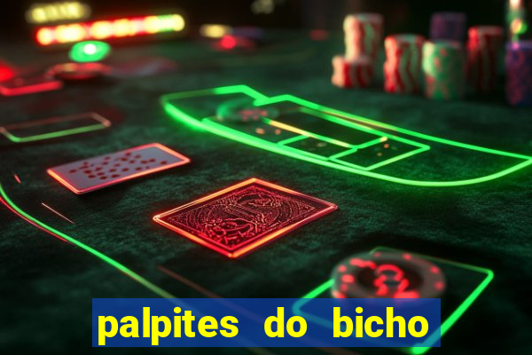 palpites do bicho no celular