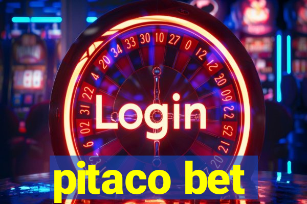 pitaco bet