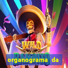 organograma da cacau show