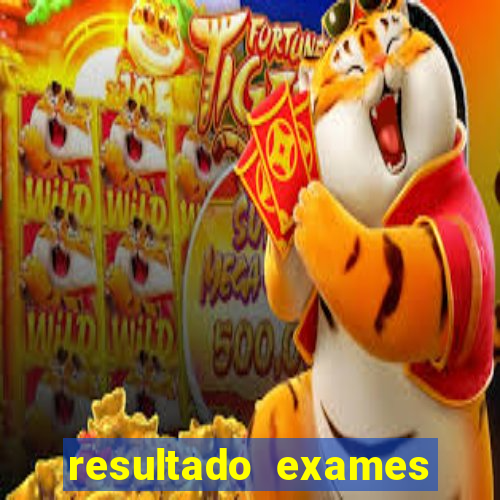 resultado exames unimed poa