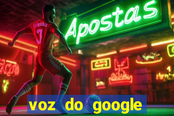 voz do google tradutor homem