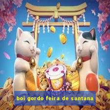 boi gordo feira de santana