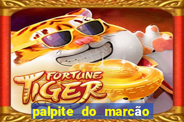 palpite do marcão jogo do bicho