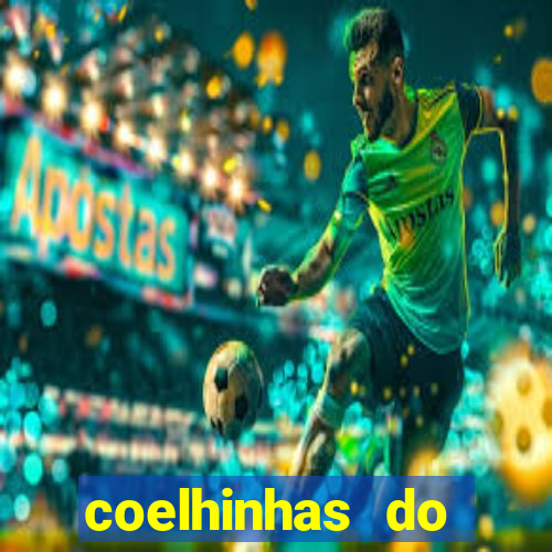 coelhinhas do brasil acompanhantes