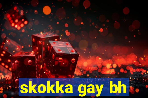 skokka gay bh