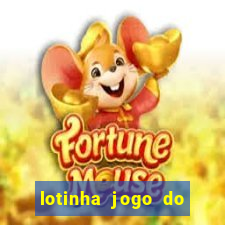 lotinha jogo do bicho como funciona