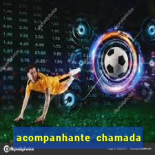 acompanhante chamada de video