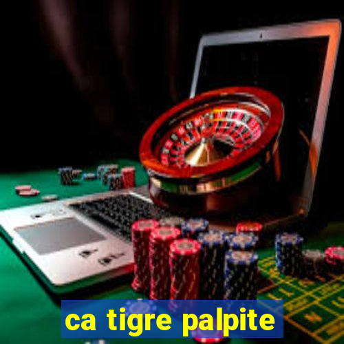 ca tigre palpite