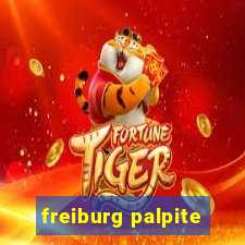 freiburg palpite