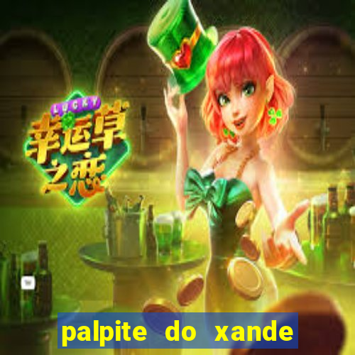 palpite do xande para hoje