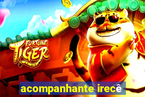 acompanhante irecê