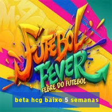 beta hcg baixo 5 semanas