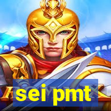 sei pmt