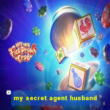 my secret agent husband