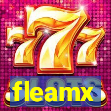 fleamx