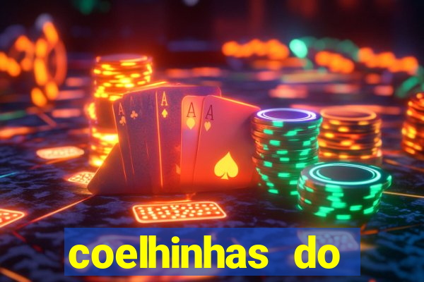 coelhinhas do brasil recife