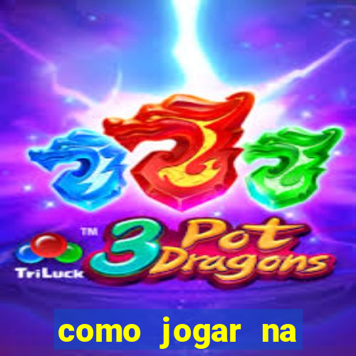 como jogar na seninha online