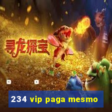 234 vip paga mesmo