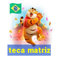 teca matriz