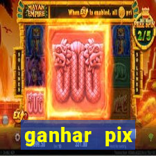 ganhar pix respondendo pesquisas