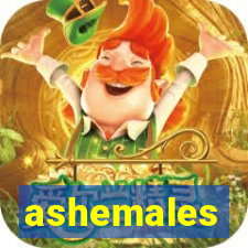 ashemales