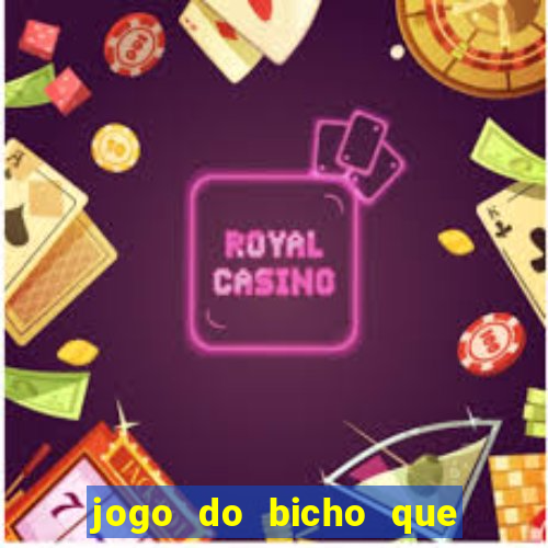 jogo do bicho que paga no pix