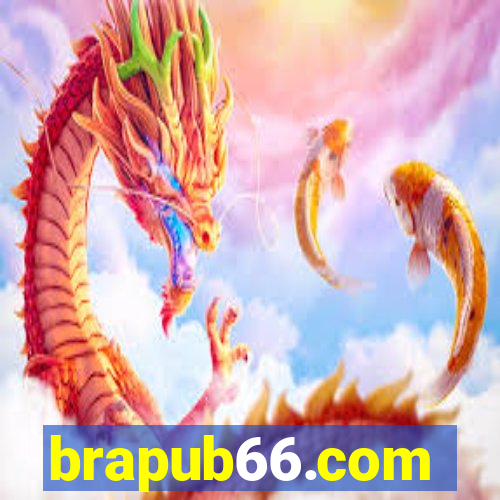 brapub66.com