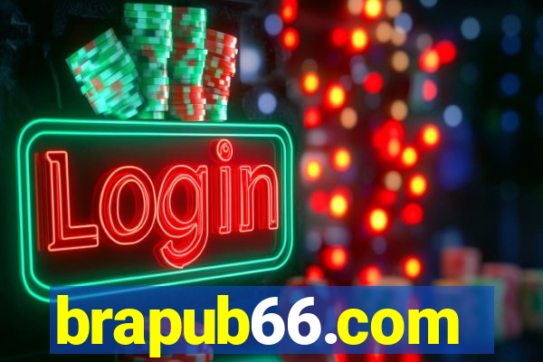 brapub66.com