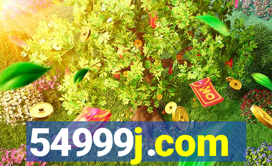 54999j.com