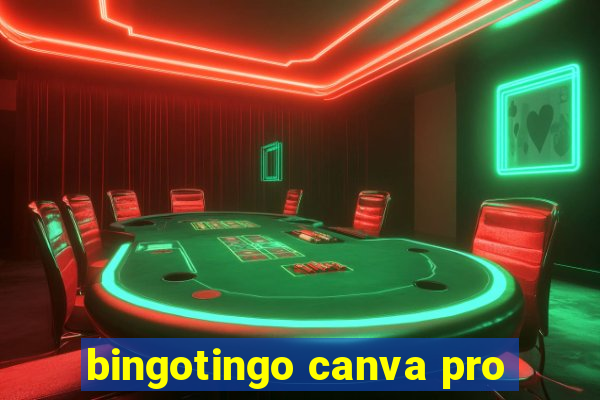 bingotingo canva pro