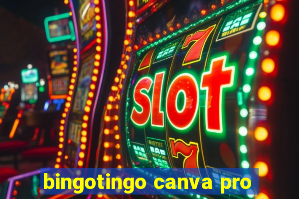 bingotingo canva pro