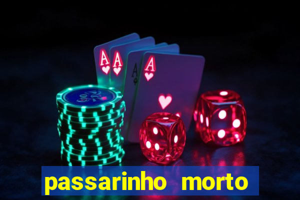 passarinho morto significado espiritual