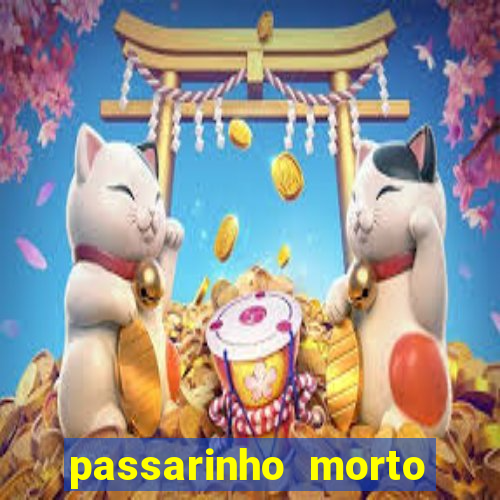 passarinho morto significado espiritual