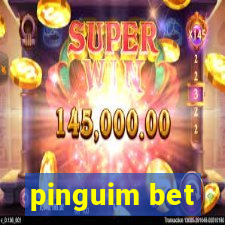 pinguim bet