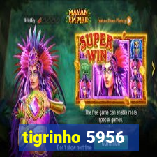 tigrinho 5956