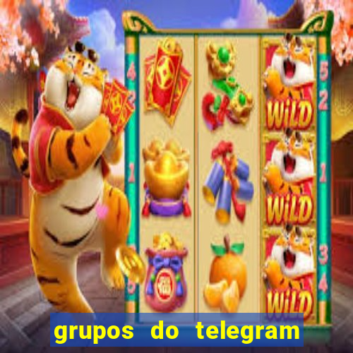 grupos do telegram mais de 18