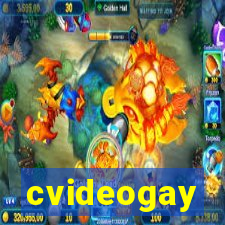 cvideogay