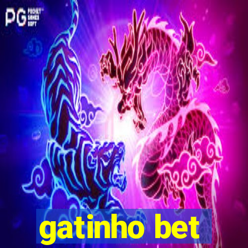 gatinho bet