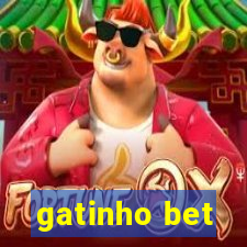 gatinho bet