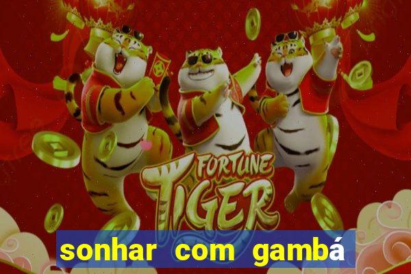 sonhar com gambá jogo do bicho