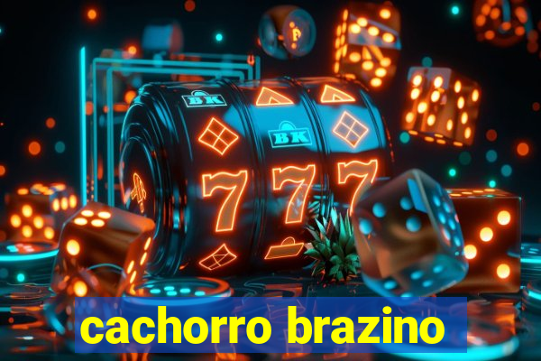 cachorro brazino