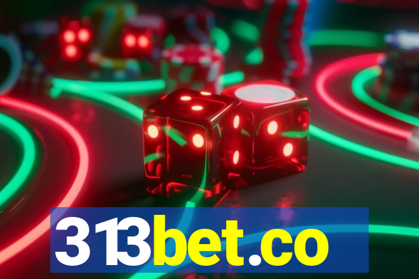 313bet.co