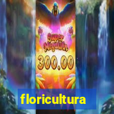 floricultura juazeiro bahia