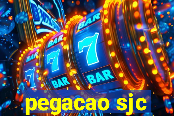 pegacao sjc