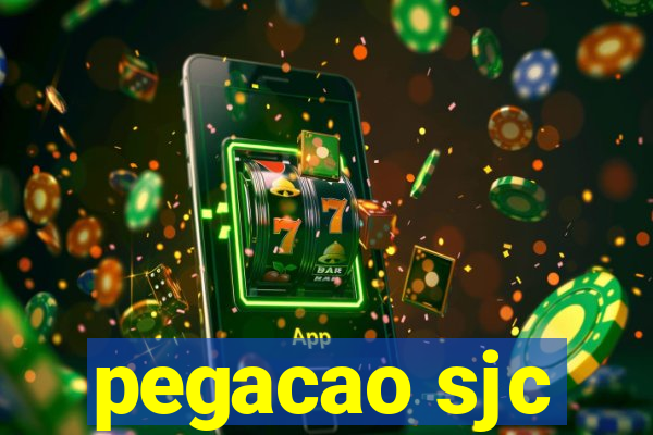 pegacao sjc