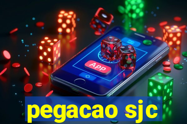 pegacao sjc