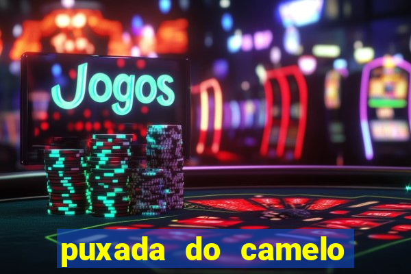 puxada do camelo no jogo do bicho