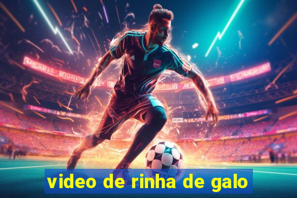 video de rinha de galo